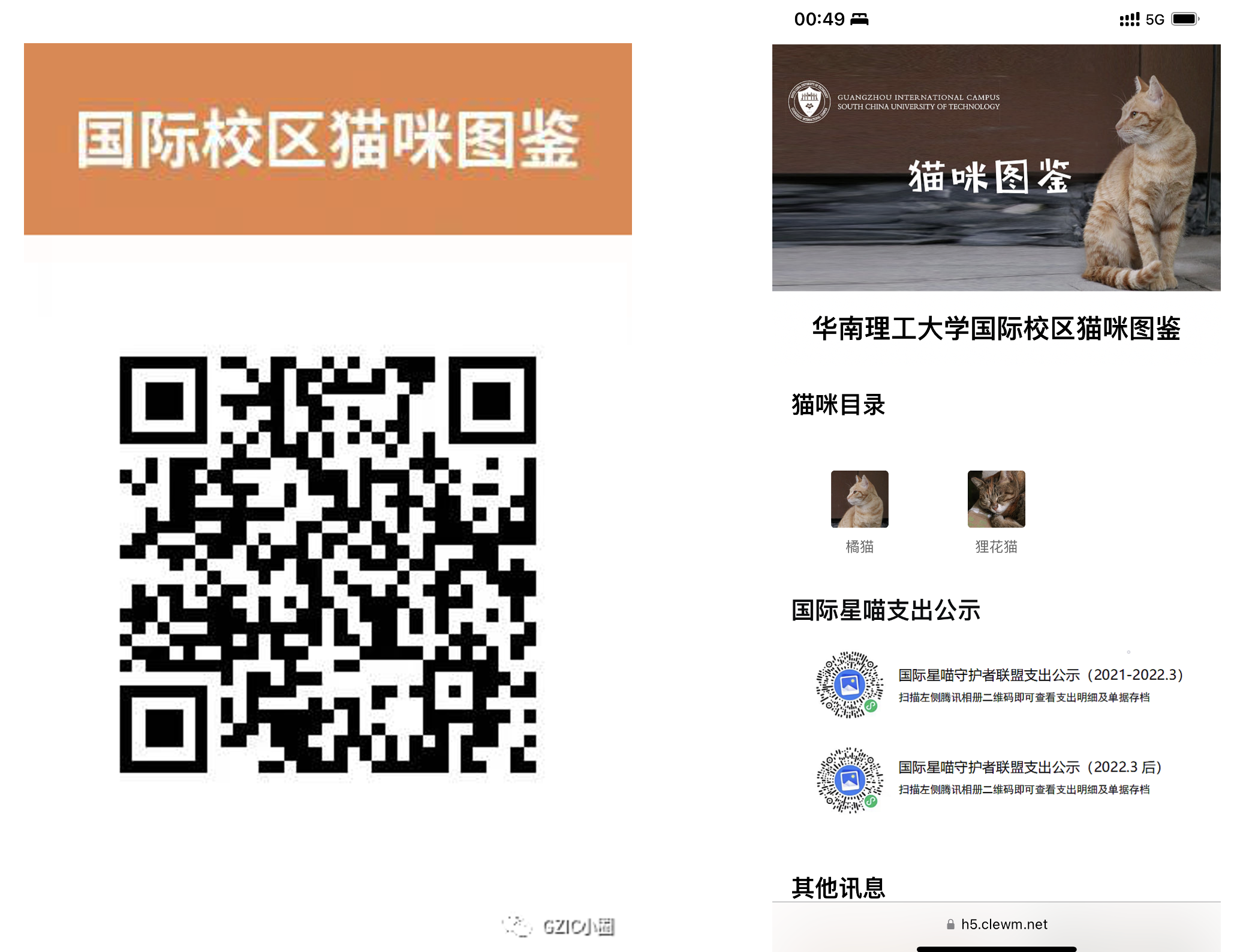 国际星喵守护者联盟